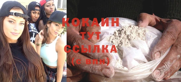 индика Алексеевка