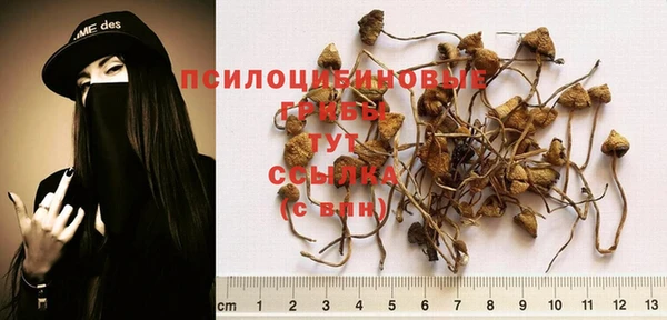амф Алзамай