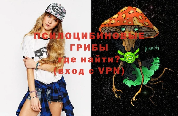 индика Алексеевка